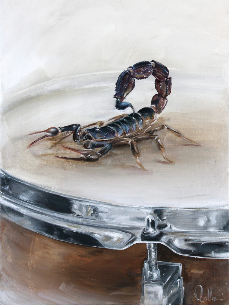 Venin Percutant - Scorpion acrylique - ROLLA