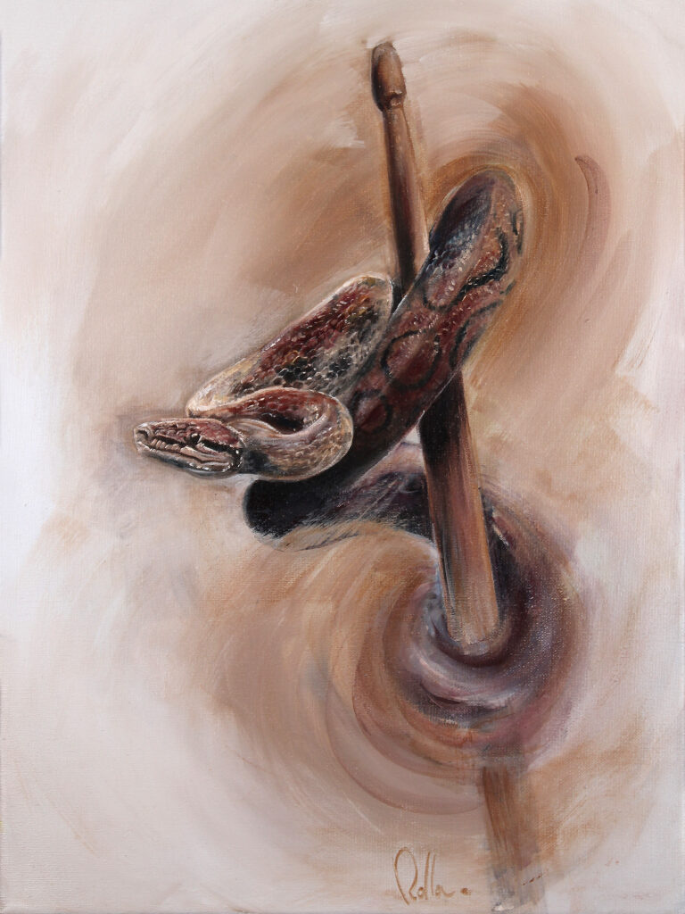 Tempo Enroulé - Serpent peinture acrylique - Art animalier - ROLLA