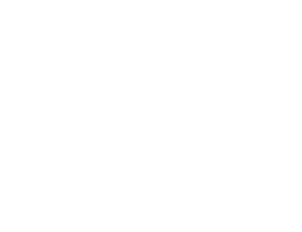 Rolla artiste peintre musique 