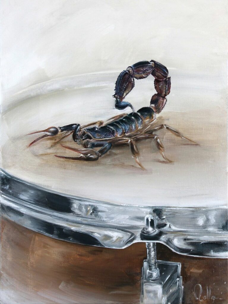 Scorpion acrylique Venin percutant par Rolla – scorpion posé sur caisse claire, symbole de rythme et énergie musicale