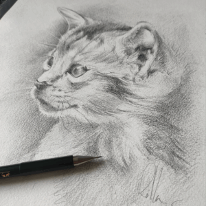 Esquisse original de la tête d'un chat - Rolla