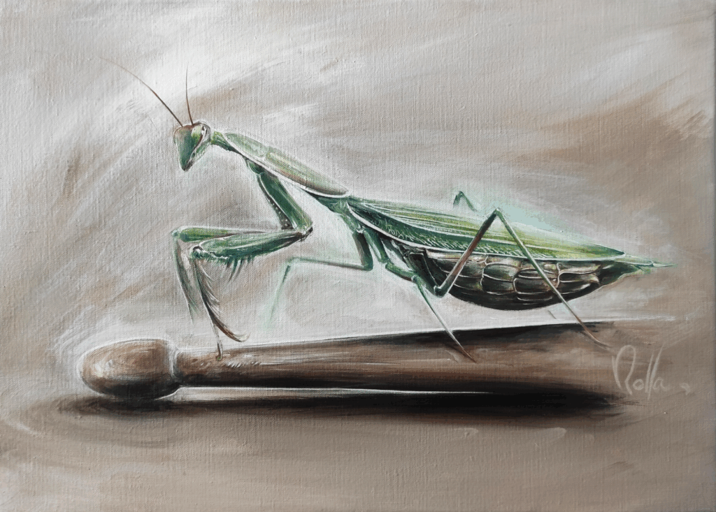 Dernière frappe - Mante religieuse acrylique - ROLLA - Artiste peintre