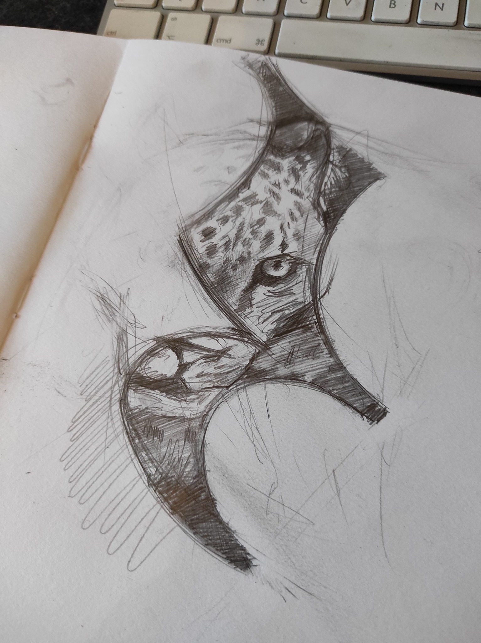 croquis Soupir Rolla