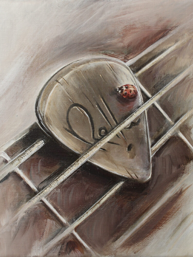 Toile Art - Coccinelle sur médiator - Musique - Rolla