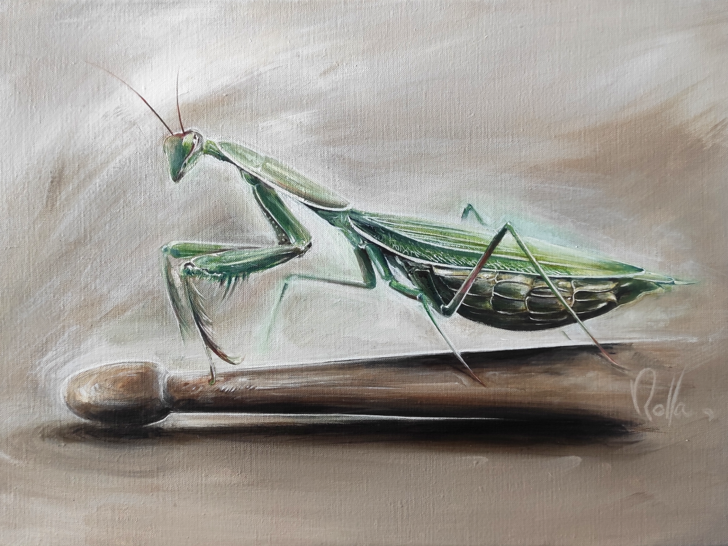 Dernière frappe - Mante religieuse acrylique - ROLLA - Artiste peintre